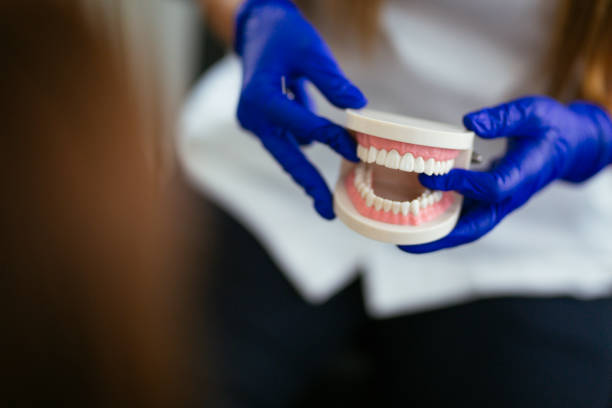 Why Choose Us for Your Dental Needs in Hamilton, IL